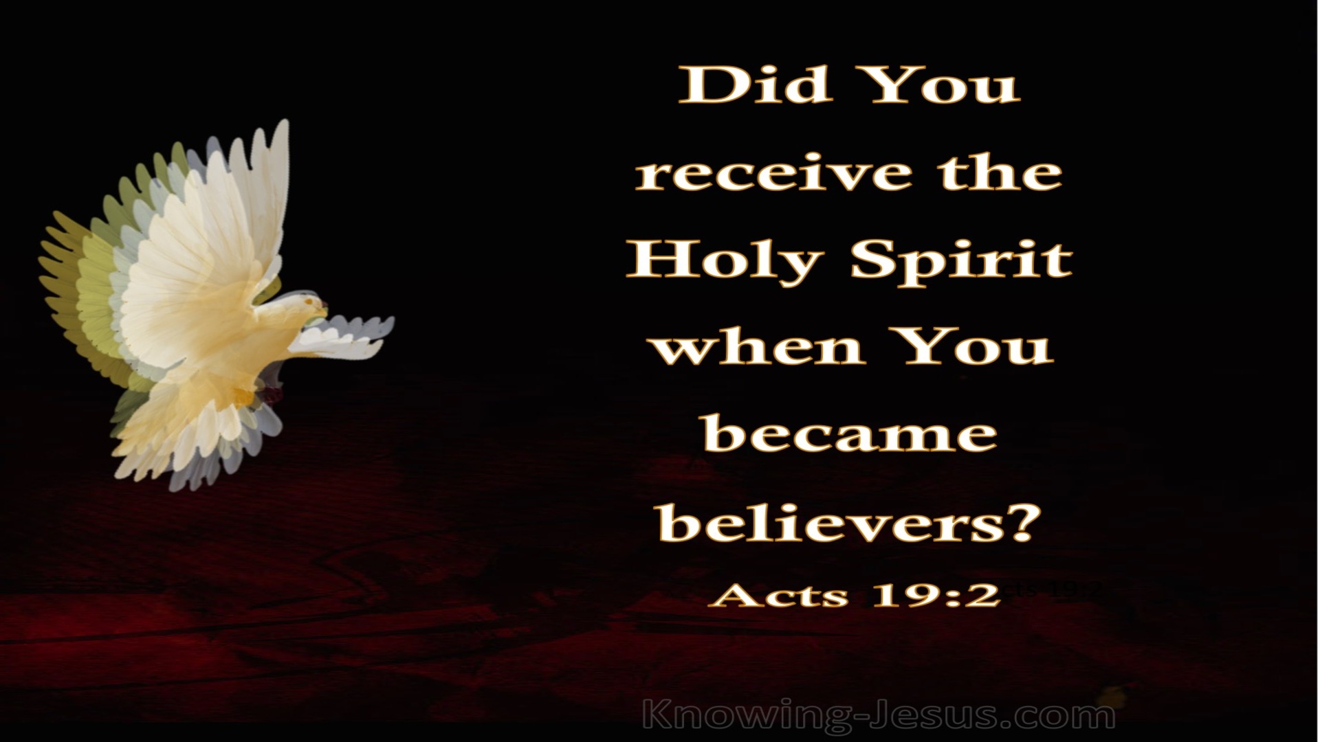 Acts 19:2 Did You Receive the Spirt When You First Believed (white)